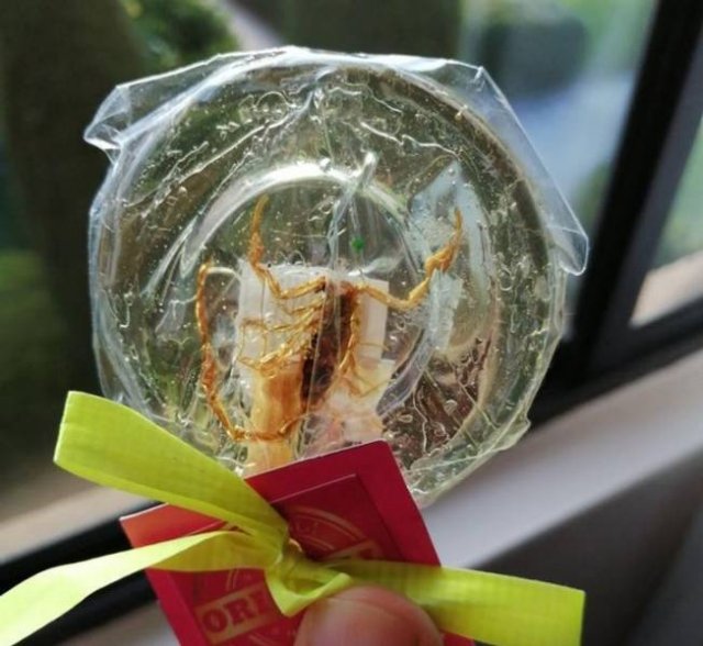 Interesting Souvenirs (18 pics)