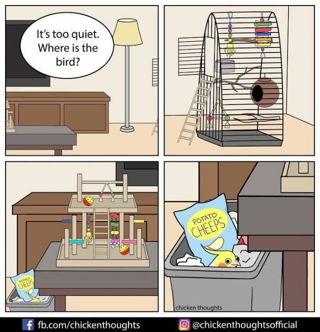 Funny Comics About Birds (30 pics)