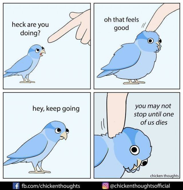 Funny Comics About Birds (30 pics)