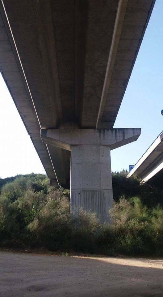 Almost Nailed It (53 pics)