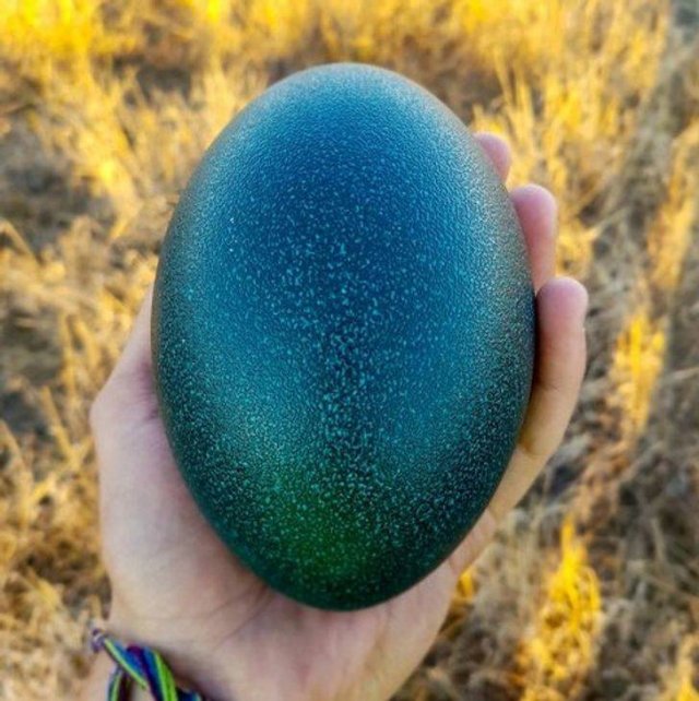 Interesting Souvenirs (18 pics)