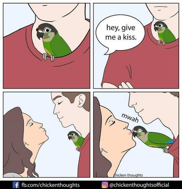 Funny Comics About Birds (30 pics)