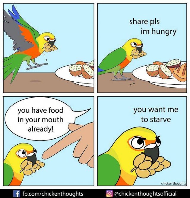 Funny Comics About Birds (30 pics)