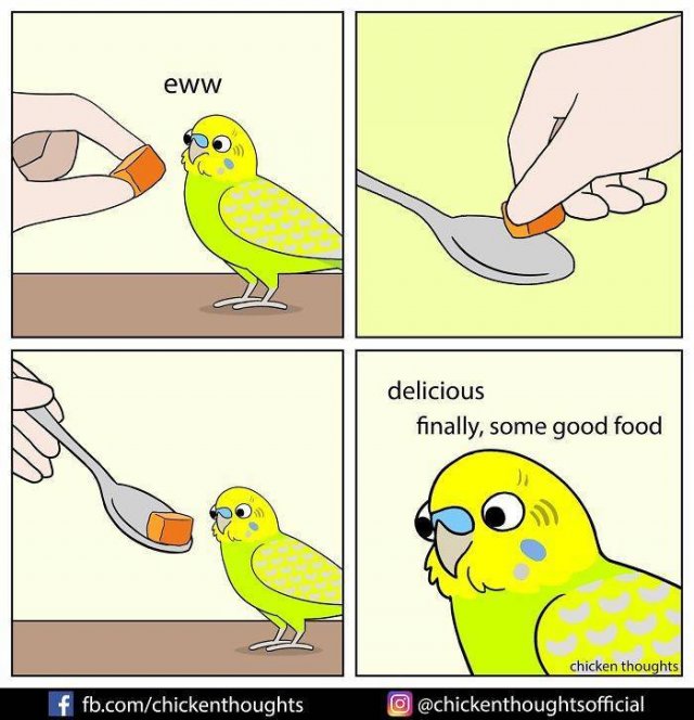 Funny Comics About Birds (30 pics)