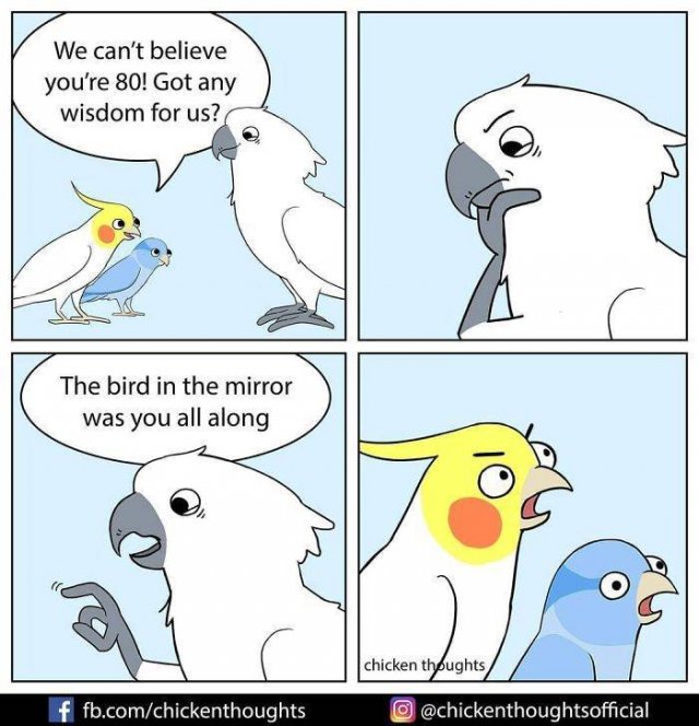 Funny Comics About Birds (30 pics)