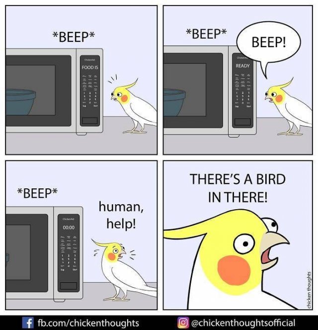 Funny Comics About Birds (30 pics)