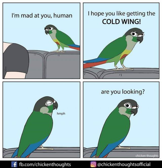 Funny Comics About Birds (30 pics)