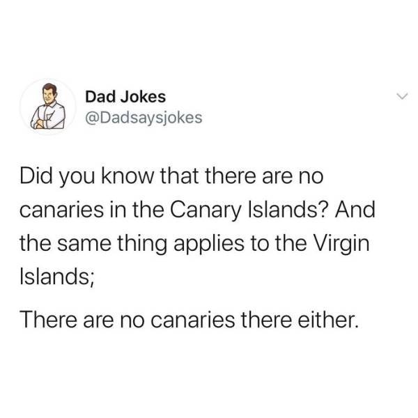 Dad Jokes (51 pics)