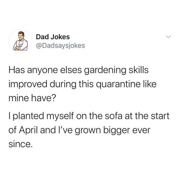 Dad Jokes (51 pics)