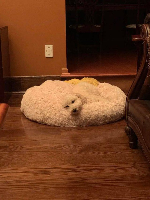 Perfection Is Possible (19 pics) Perfection Is Possible (19 pics)