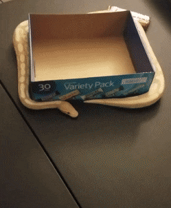 Acid Gifdump, September 17 (25 gifs)