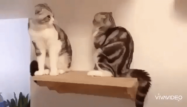 Acid Gifdump, September 17 (25 gifs)