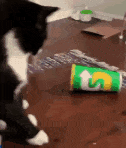 Acid Gifdump, September 17 (25 gifs)