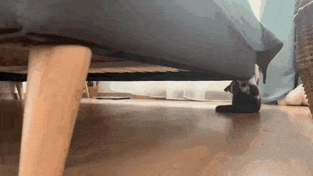 Acid Gifdump, September 17 (25 gifs)