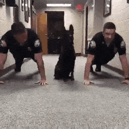 Acid Gifdump, September 17 (25 gifs)