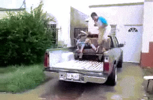 Acid Gifdump, September 17 (25 gifs)