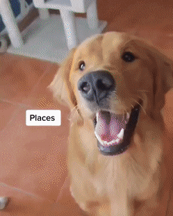 Acid Gifdump, September 17 (25 gifs)