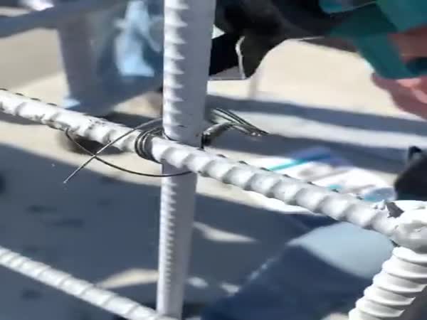 Do You Know Someone Who Can Tie Faster Than This?