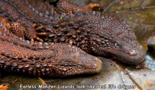 Acid Picdump. Part 2 (94 pics)