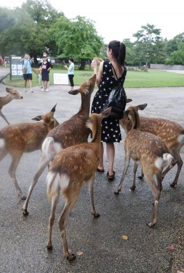 Acid Picdump. Part 2 (94 pics)
