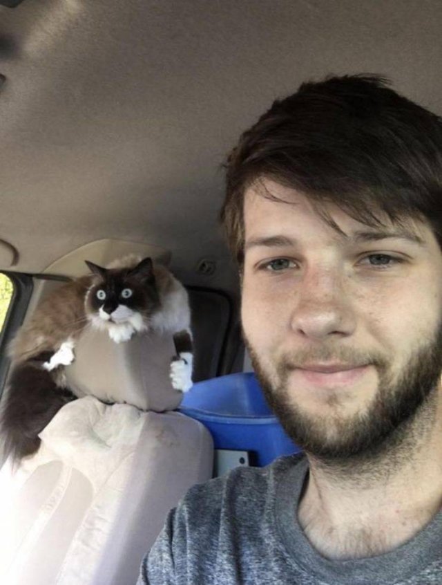Acid Picdump. Part 2 (94 pics)