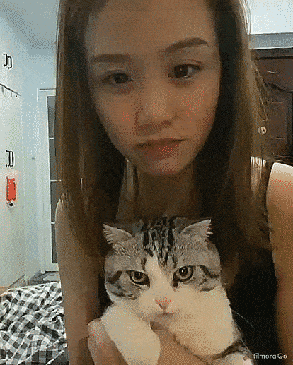 Acid Gifdump, September 18 (25 gifs)