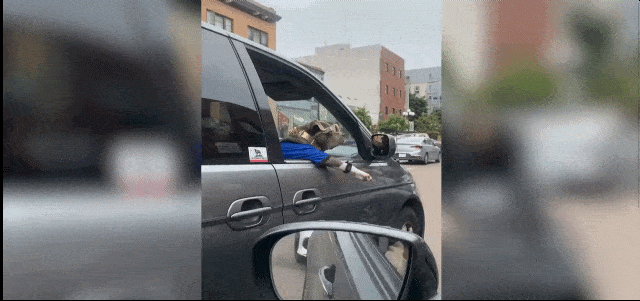 Acid Gifdump, September 18 (25 gifs)