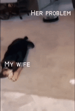 Acid Gifdump, September 18 (25 gifs)