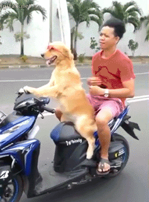 Acid Gifdump, September 18 (25 gifs)