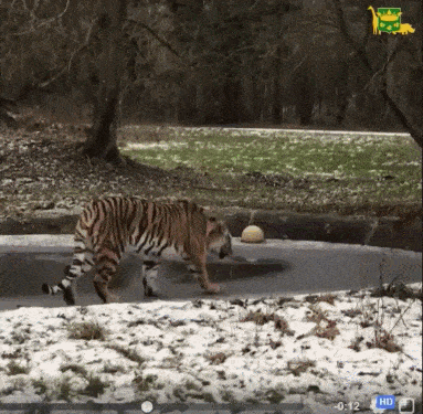 Acid Gifdump, September 18 (25 gifs)