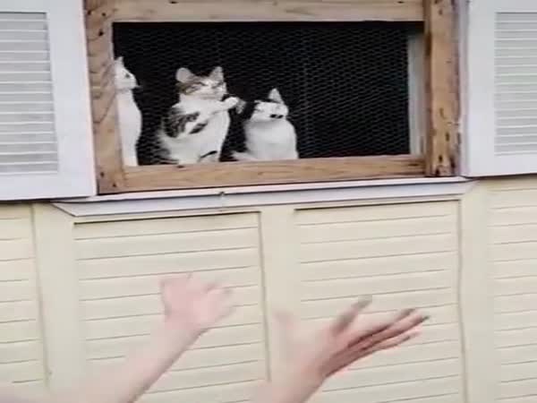 They Are Really Excited