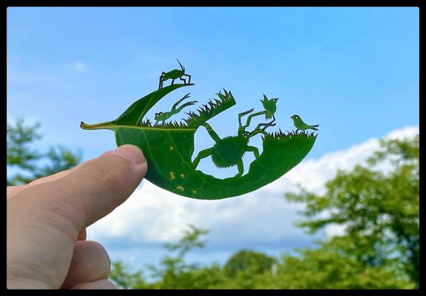 Leaf Carvings By Japanese Artist (41 pics)