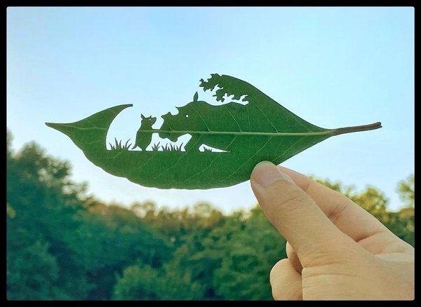 Leaf Carvings By Japanese Artist (41 pics)