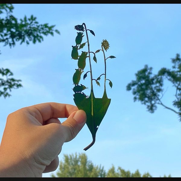 Leaf Carvings By Japanese Artist (41 pics)