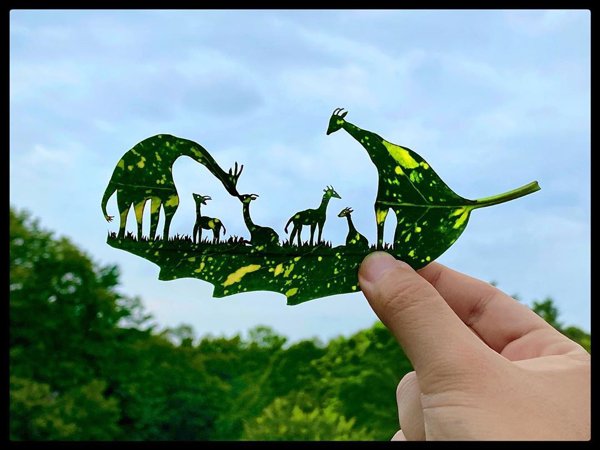 Leaf Carvings By Japanese Artist (41 pics)