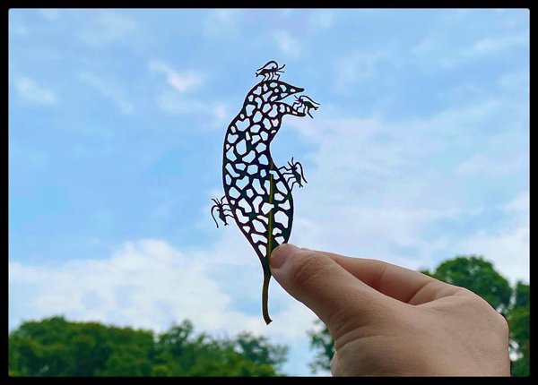 Leaf Carvings By Japanese Artist (41 pics)