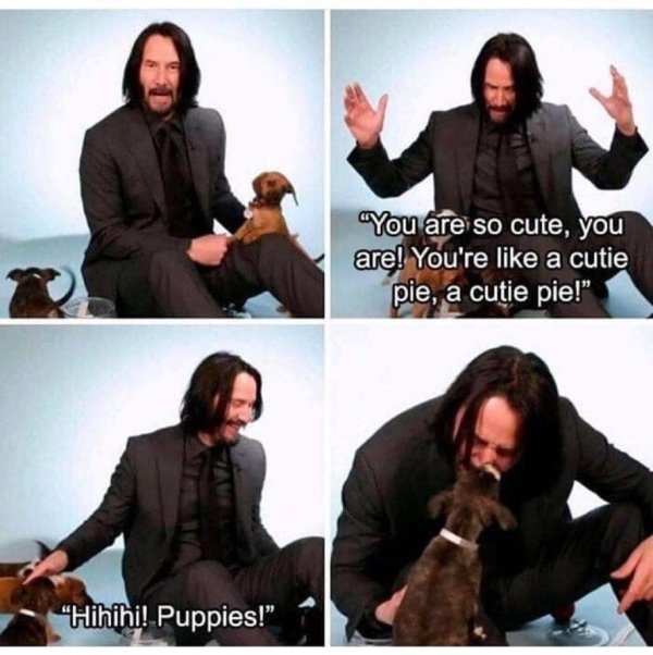 Wholesome Memes (25 pics)