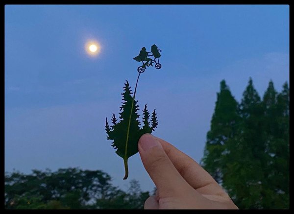 Leaf Carvings By Japanese Artist (41 pics)