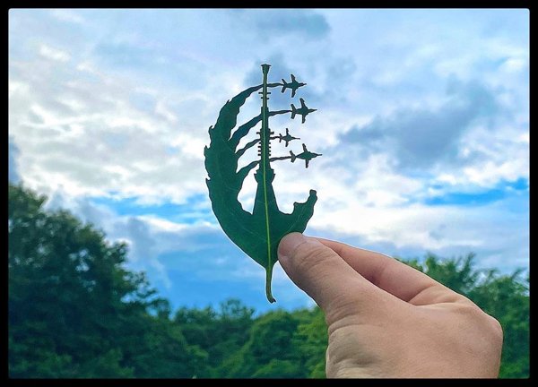 Leaf Carvings By Japanese Artist (41 pics)