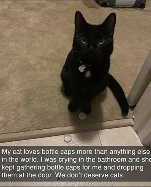 Wholesome Memes (25 pics)