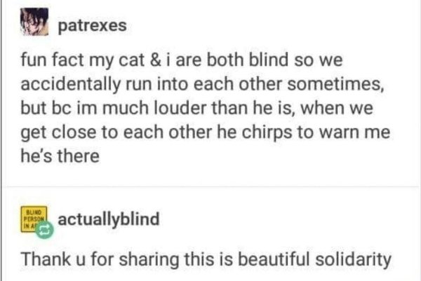 Wholesome Memes (25 pics)