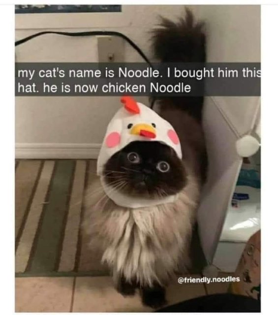Wholesome Memes (25 pics)
