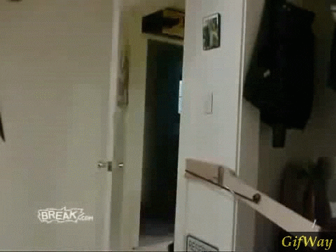 Fails (14 gifs)