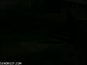 Fails (14 gifs)