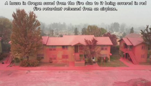 Acid Picdump. Part 2 (97 pics)