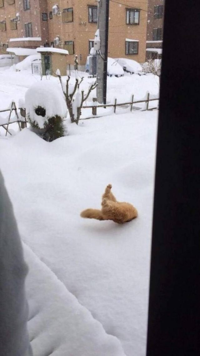 Acid Picdump. Part 2 (97 pics)