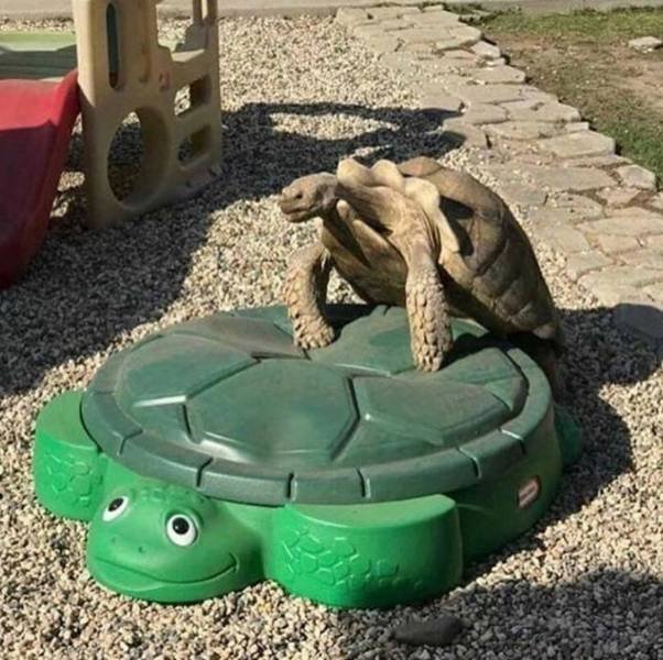 Acid Picdump. Part 2 (96 pics)