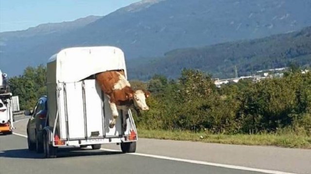 Acid Picdump. Part 2 (96 pics)