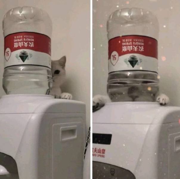 Acid Picdump. Part 2 (96 pics)