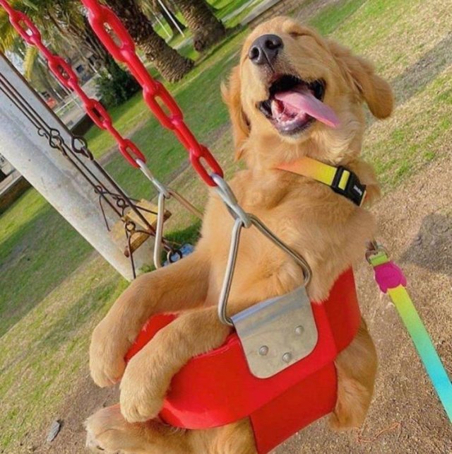 Acid Picdump. Part 2 (96 pics)